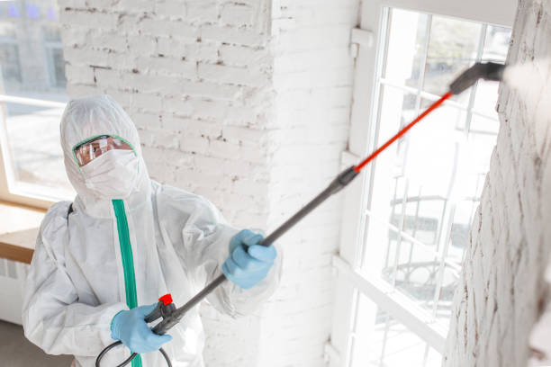 Best Real Estate Mold Inspection  in Glenrock, WY