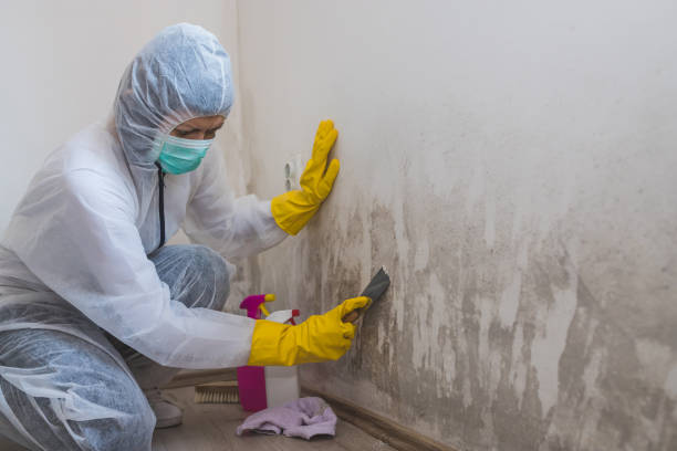 Mold Remediation for Rental Properties in Glenrock, WY