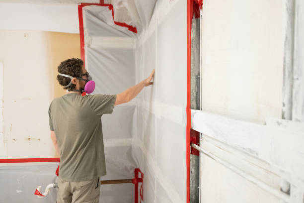Best Black Mold Removal  in Glenrock, WY