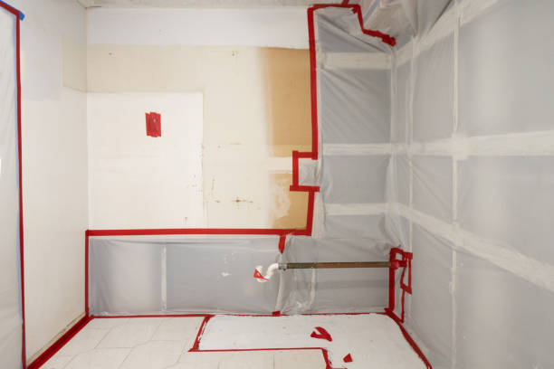 Best Comprehensive Air Testing for Mold Contaminants  in Glenrock, WY