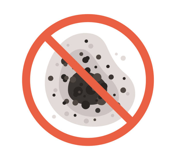 Best Mold Odor Removal Services  in Glenrock, WY