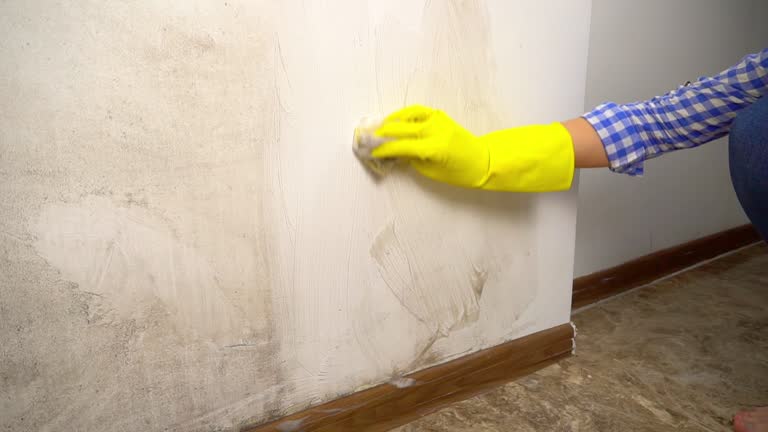 Best Mold Removal for HVAC Installations  in Glenrock, WY