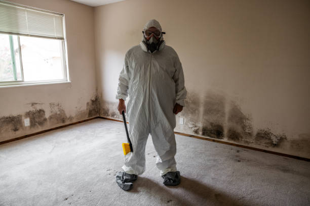 Best Emergency Mold Remediation  in Glenrock, WY
